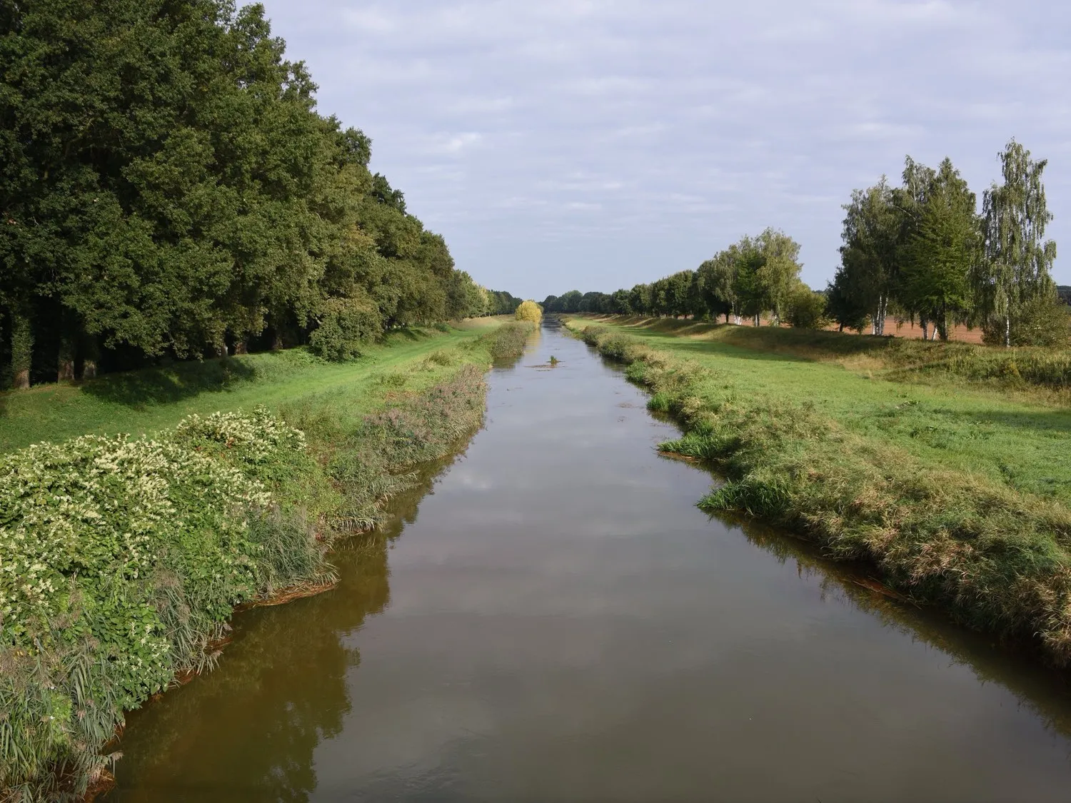 Flusslauf zwischen Baumreihen und Uferwiesen